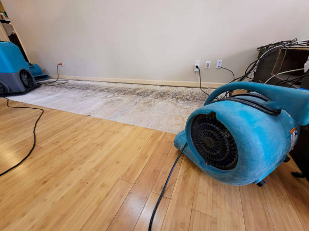 Professional Sewage Cleanup technician working in Morrice, MI